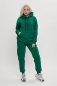 Оптом Трикотажный спортивный костюм женский с начесом темно-зеленого цвета 1084TZ в Екатеринбурге, фото 3