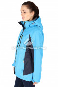 Оптом Куртка спортивная женская батал синего цвета 097S, фото 2