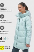 Оптом Куртка женская демисезонная с капюшоном бирюзового цвета 1139Br, фото 2