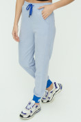 Оптом Спортивные брюки женские голубого цвета 1307Gl в Перми, фото 15