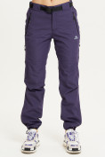 Оптом Спортивные брюки Valianly женские темно-фиолетового цвета 33230TF в Перми