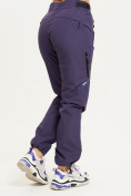 Оптом Спортивные брюки Valianly женские темно-фиолетового цвета 33230TF в Санкт-Петербурге, фото 5