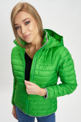 Оптом Стеганная куртка зеленого цвета 33315Z в Екатеринбурге, фото 2