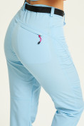 Оптом Спортивные брюки Valianly женские голубого цвета 33419Gl в  Красноярске, фото 6
