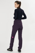 Оптом Брюки softshell темно-фиолетового цвета 371TF в Казани, фото 5