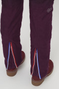Оптом Полукомбинезон брюки горнолыжные темно-бордового цвета женские  66179Tb в Екатеринбурге, фото 11