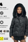 Оптом Куртка зимняя женская с мехом и капюшоном тренд черного цвета 7759Ch