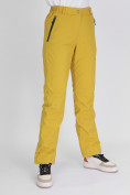 Оптом Утепленные спортивные брюки женские горчичного цвета 88148G в Казани, фото 12