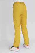 Оптом Утепленные спортивные брюки женские горчичного цвета 88148G в Екатеринбурге, фото 9