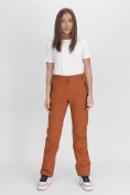 Оптом Утепленные спортивные брюки женские коричневого цвета 88148K, фото 15