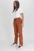 Оптом Утепленные спортивные брюки женские коричневого цвета 88148K, фото 2