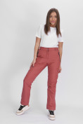 Оптом Утепленные спортивные брюки женские розового цвета 88148R в Казани, фото 17