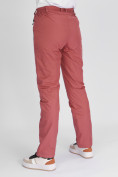Оптом Утепленные спортивные брюки женские розового цвета 88148R в Екатеринбурге, фото 9