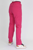 Оптом Утепленные спортивные брюки женские розового цвета 88149R в Екатеринбурге, фото 10