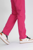 Оптом Утепленные спортивные брюки женские розового цвета 88149R в Екатеринбурге, фото 12