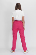 Оптом Утепленные спортивные брюки женские розового цвета 88149R в Екатеринбурге, фото 4