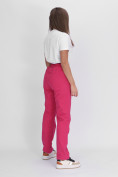 Оптом Утепленные спортивные брюки женские розового цвета 88149R в Екатеринбурге, фото 5