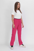 Оптом Утепленные спортивные брюки женские розового цвета 88149R в Екатеринбурге, фото 6