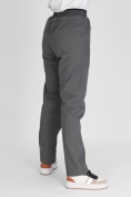 Оптом Утепленные спортивные брюки женские серого цвета 88149Sr в Казани, фото 11