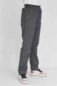Оптом Утепленные спортивные брюки женские серого цвета 88149Sr в Екатеринбурге, фото 12