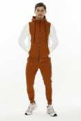 Оптом Спортивный костюм трикотажный коричневого цвета 9154K в Перми