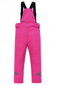 Оптом Брюки горнолыжные подростковые для девочки розового цвета 9252R, фото 2
