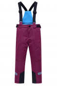 Оптом Брюки горнолыжные подростковые для девочки темно-фиолетового цвета 9252TF в Перми