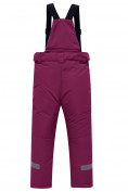 Оптом Брюки горнолыжные подростковые для девочки темно-фиолетового цвета 9252TF, фото 2