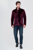 Оптом Куртка велюровая классическая Valianly фиолетового цвета 93351F в Казани