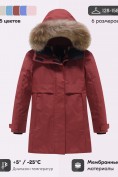 Оптом Парка зимняя подростковая для девочки с капюшоном и мехом бордового цвета 9534Bo, фото 3