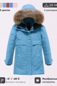 Оптом Парка зимняя подростковая для девочки с капюшоном и мехом бирюзового цвета 9534Br, фото 3