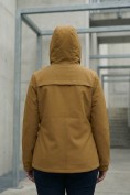 Оптом Ветровка женская софтшелл большого размера с капюшоном ветрозащитная горчичного цвета 9620_1G, фото 9