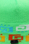 Оптом Шапка еврозима лего зеленого цвета 6028Z в  Красноярске, фото 3